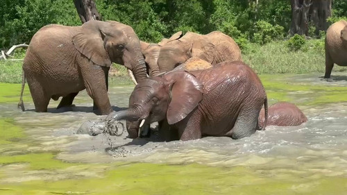 XEnB92H 3s1ikMOE.jpg