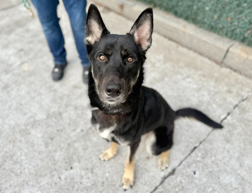 G93TDaLbcAAau6 ?format=jpg.jpg