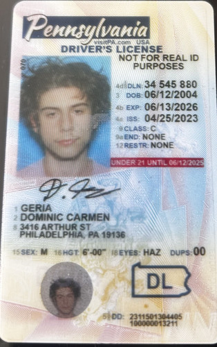 Dominic Carmen Geria license image.jpg