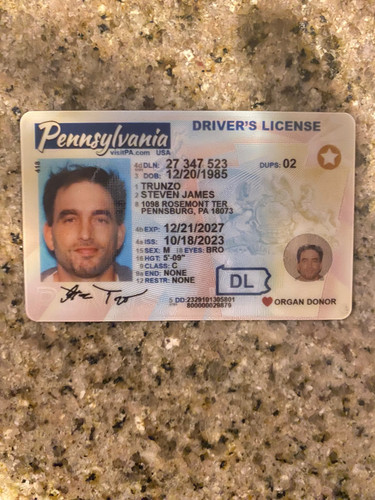 Steven James Trunzo license image.jpg