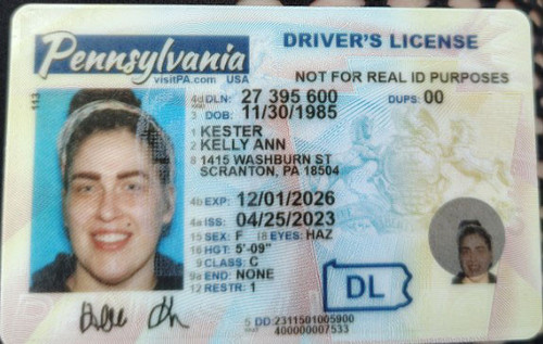 Kelly Ann Kester license image.jpg