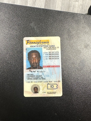 Khamar Xavier Michel license image.jpg