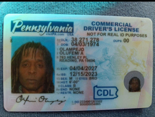 Olufemi A Olampejo license image.jpg