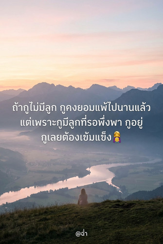 4de8a5ecd790.jpg