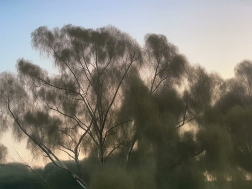 frame horizontal 019.jpg