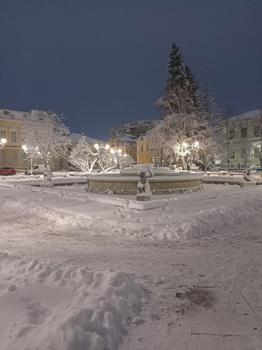 IMG 20260111 173212.jpg