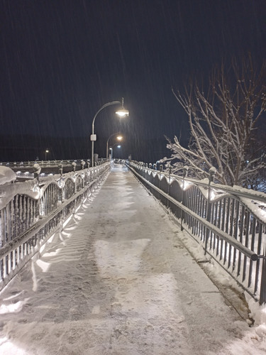 IMG 20260111 174232.jpg