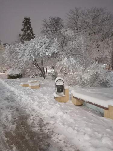 IMG 20260111 173337.jpg