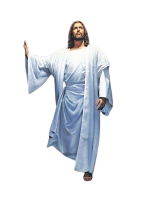 imagem 2026 01 11 134620539 removebg preview.png