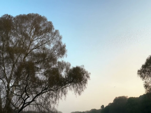 frame horizontal 017.jpg