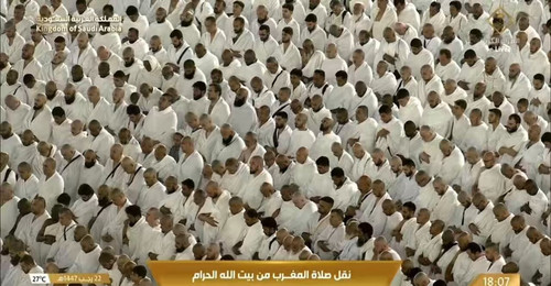 45rarYFa4PHU 7xd.jpg