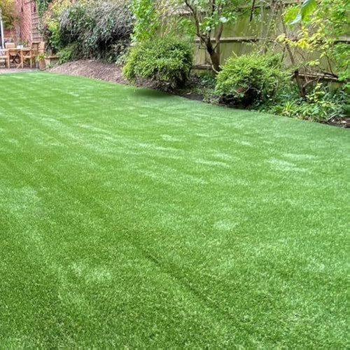 61tOjZCWXTL. AC UF1000,1000 QL80 .jpg