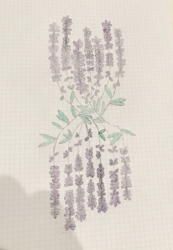 B0662117 5F90 43AC B0C3 078590798F1A.jpg