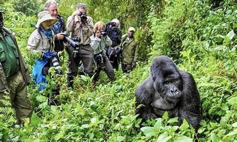 G a2lM6W8AA1S5W?format=jpg.jpg