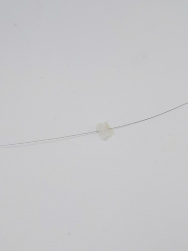 IMG 20260113 120530.jpg