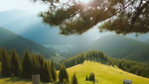 frame horizontal 005.jpg