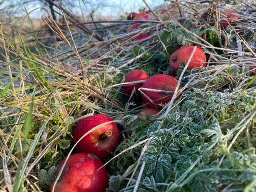 C7TRmI AbOtFWyd5.jpg