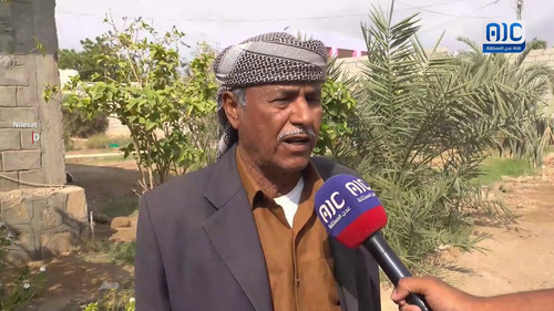 m1eNjDMmrH PLToT.jpg