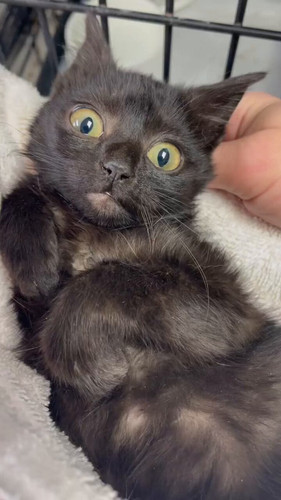 8 oUWwjzNSZEg1el.jpg