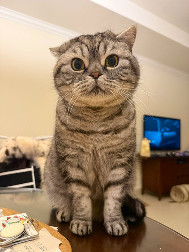 G Zlx5racAA6sEo?format=jpg.jpg