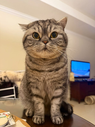 G Zlx5paAAANA3g?format=jpg.jpg