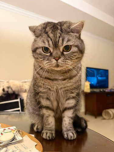 G Zlx5hasAA0RGv?format=jpg.jpg