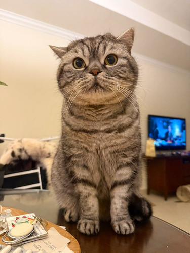 G Zlx5RakAAB9X ?format=jpg.jpg