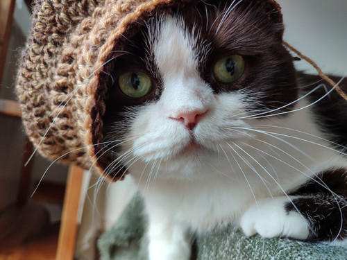 G eWZAOXQAALnHP?format=jpg.jpg