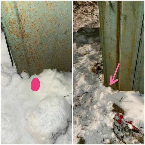 22122A90 8FC6 4628 9B94 223062542710.jpg