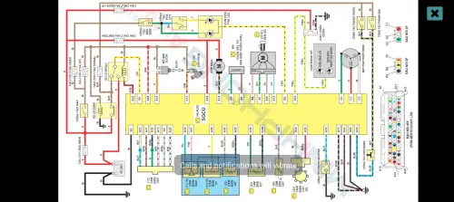 1000023580 compressed.webp