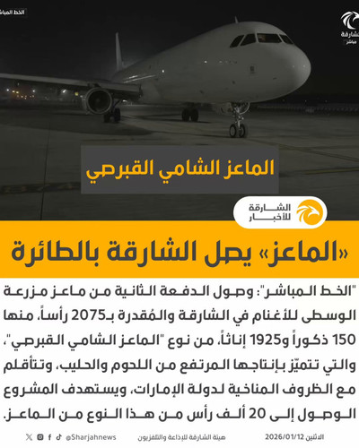 fTZRIA3iiQy lZ3y.jpg