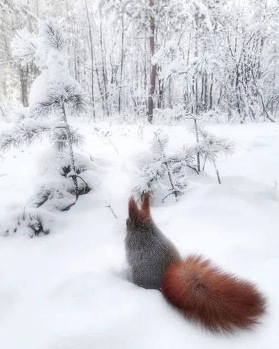 G WS W9XgAAeLwF?format=jpg.jpg