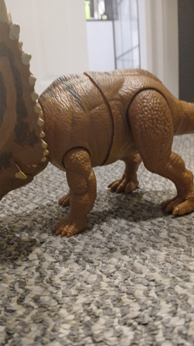 temp 1768251837485.jpg