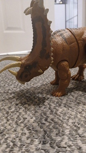 temp 1768251831313.jpg