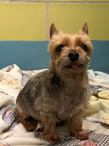 G bPBWtWEAATJkv?format=jpg.jpg