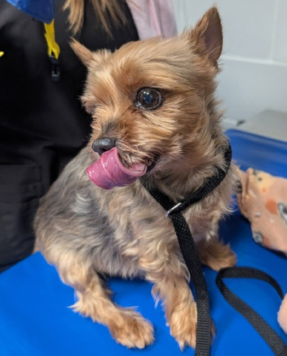 G bPBcUXwAAVw63?format=jpg.jpg