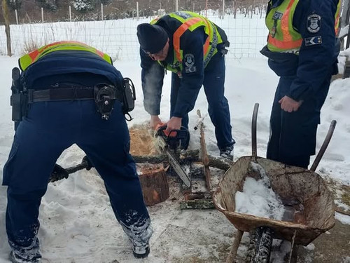 615426855 1210760607912433 2190670967980417247 n.webp?stp=dst jpg s590x590 tt6& nc cat=106&ccb=1 7& .jpg