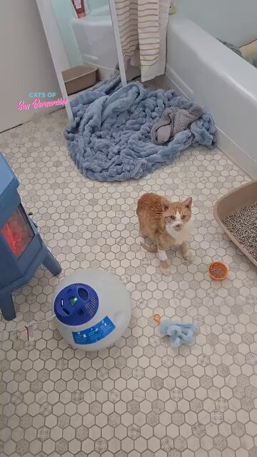 b6Vta1 mhQJzQfBN.jpg