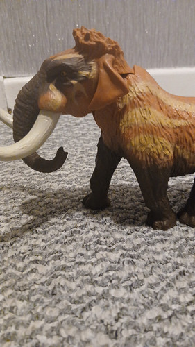 temp 1768251343562.jpg