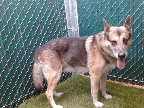 G bLdwsXkAAeqof?format=jpg.jpg