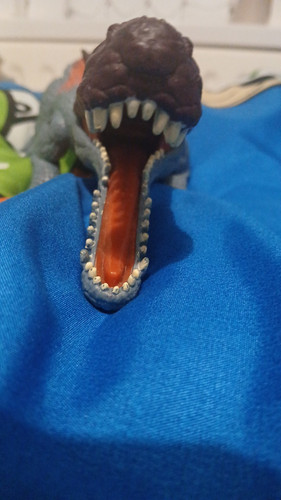 temp 1768251753434.jpg