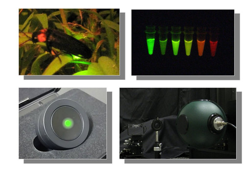 G bkV1tbUAAewEJ?format=jpg.jpg