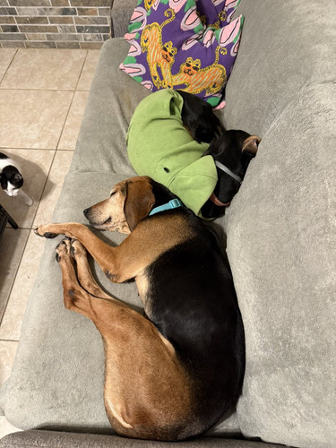 G fA7OyXwAAkvWV?format=jpg.jpg