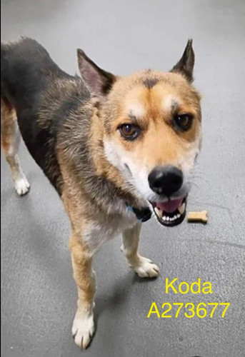 G d4JzHXsAAW7BS?format=jpg.jpg