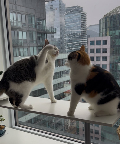 615430061 867699512718262 601003773652437221 n.jpg