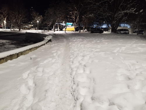 IMG 20260112 183303.jpg