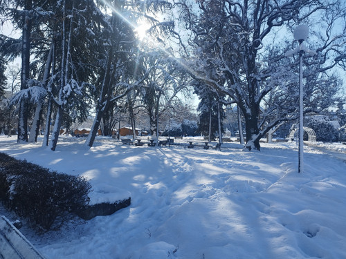 IMG 20260112 134256.jpg