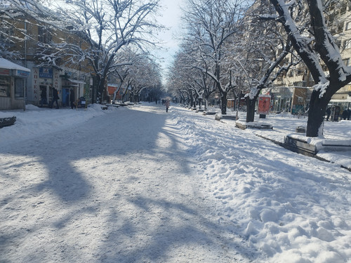 IMG 20260112 133312.jpg