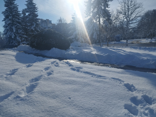 IMG 20260112 132913.jpg