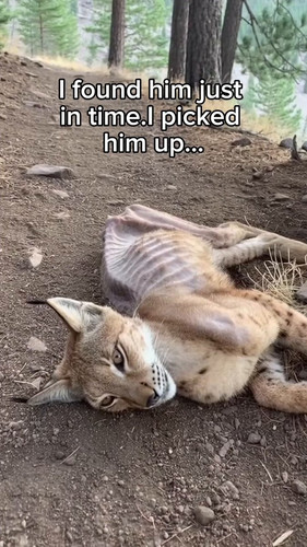 SUPa pHqqfLSPjrm.jpg